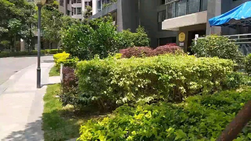 灏景玥城,新闻路393号-梧州灏景玥城二手房,租房,房价-梧州安居客