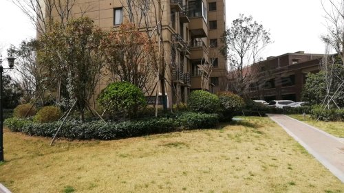 郑州绿地城一区