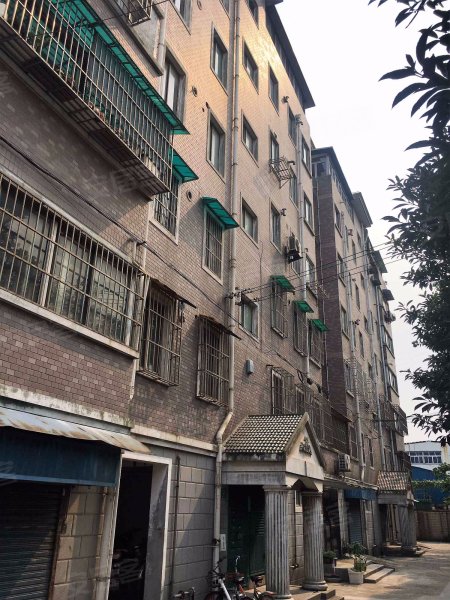 东林路538弄小区 