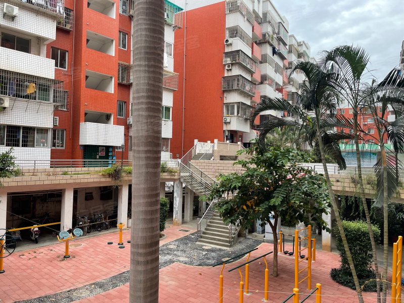 芙蓉苑,嘉园路41,207-273,277-317号-厦门芙蓉苑二手房,租房,房价