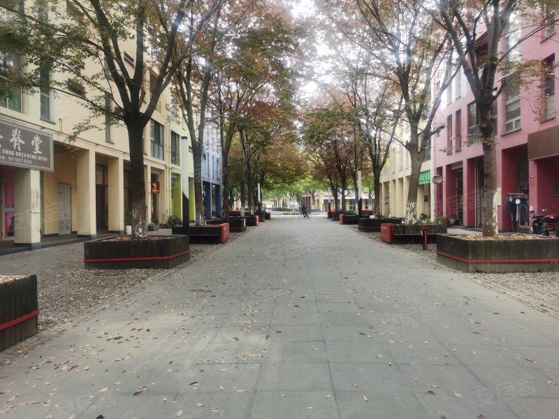 安亭新镇雅苑,安礼路258弄-上海安亭新镇雅苑二手房,租房,房价-上海