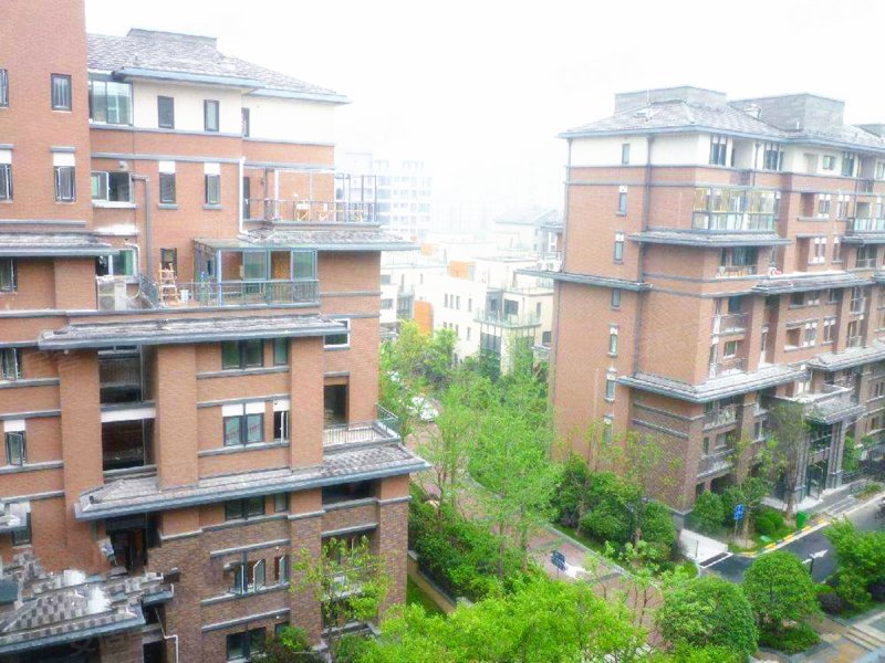 梧桐城邦(四期别墅) 