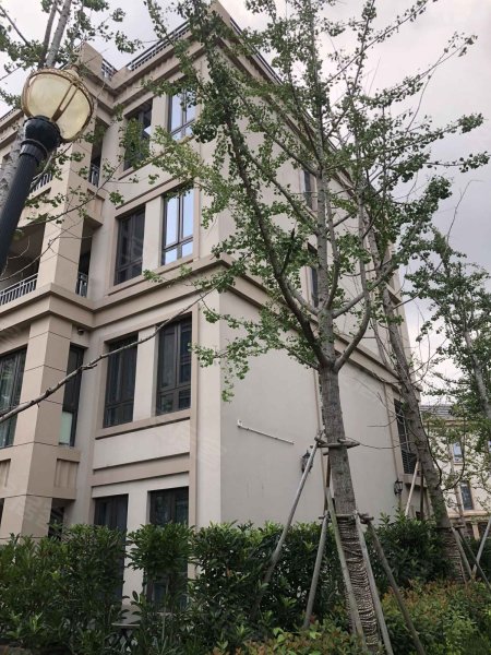 宫园巧筑(公寓住宅) 