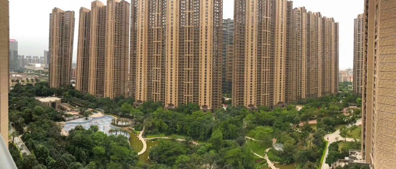 中海千灯湖1号
