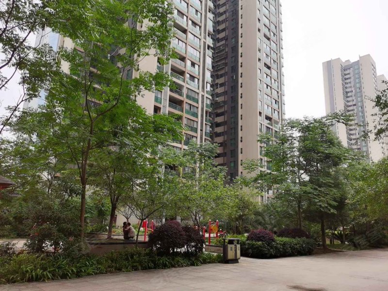 中天会展城b区b5组团,金朱东路-贵阳中天会展城b区b5组团二手房,租房
