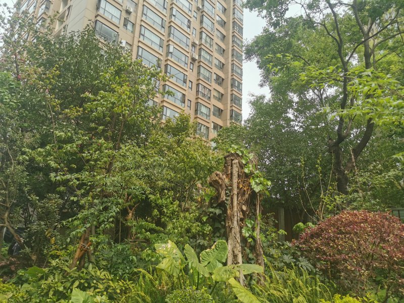 版筑翠园,虹山东路4号-昆明版筑翠园二手房,租房,房价-昆明安居客