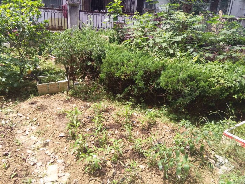 佳兴园小区,繁华大道147号-合肥佳兴园小区二手房,租房,房价-合肥安居