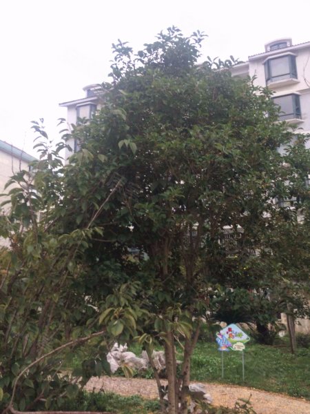 博一小区(2支弄) 