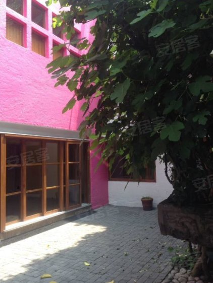 墨西哥墨西哥城约¥521万MexicoMexico Cityprim.  cerrad de MinervaHouse出售二手房独栋别墅图片
