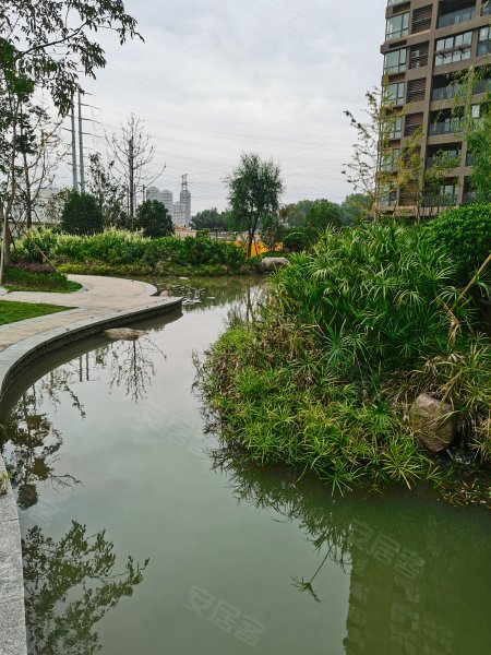 江岸景苑,会展路,近蒲江路-温州江岸景苑二手房,租房,房价-温州安居客