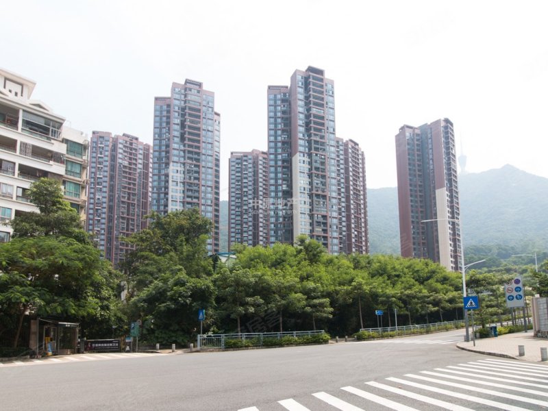 莲馨家园,国威路21号-深圳莲馨家园二手房,租房,房价-深圳安居客