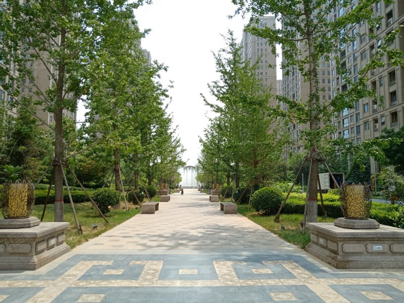 林荫大院,泰华街-石家庄林荫大院二手房,租房,房价-石家庄安居客