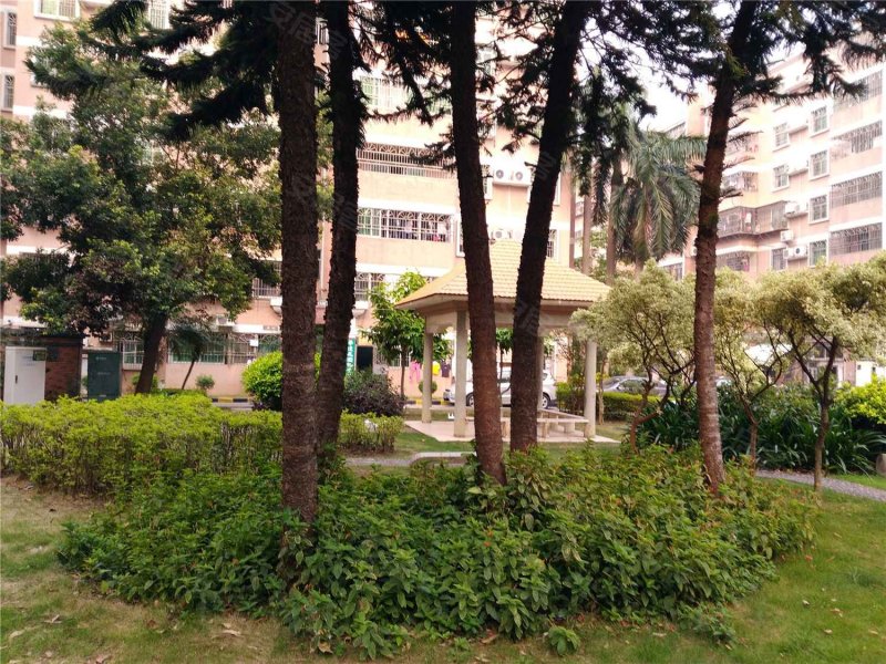 华达花园,港三路308号-珠海华达花园二手房,租房,房价-珠海安居客