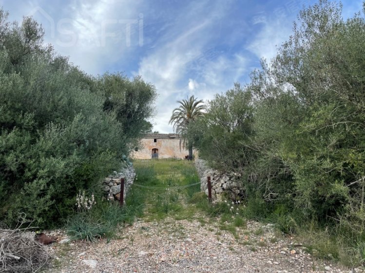 西班牙约¥651万SpainSencellesLand出售二手房土地图片