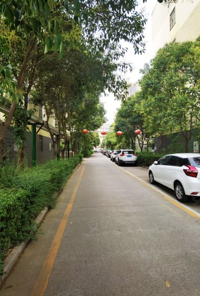 富华棕榈城,黄河西路-漯河富华棕榈城二手房,租房,房价-漯河安居客