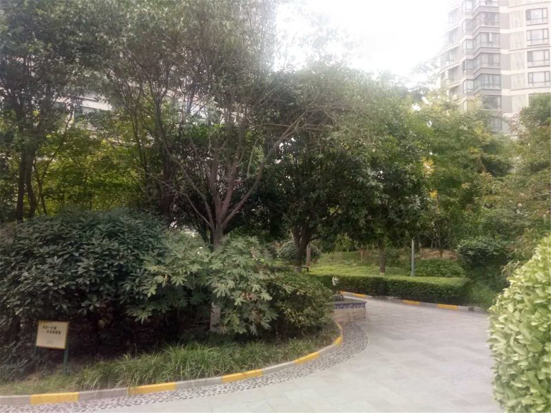 利君明天