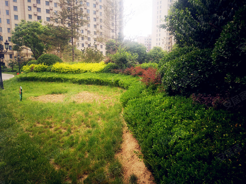 塞纳左岸,九河西路-沧州塞纳左岸二手房,租房,房价-沧州安居客