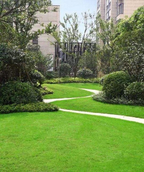 新里派克公馆,金粮路566号-成都新里派克公馆二手房,租房,房价-成都