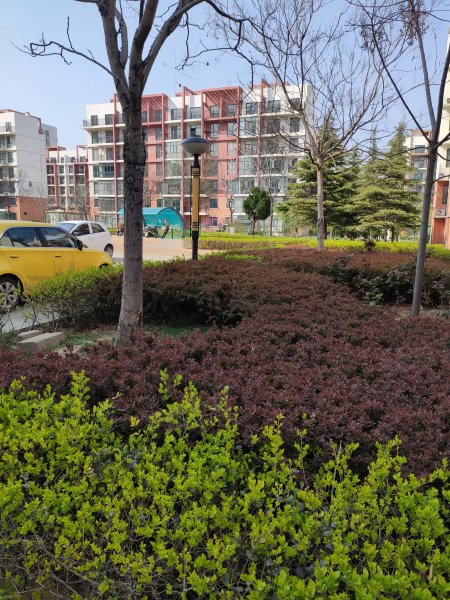 世纪花园(四期),南山中路-烟台世纪花园(四期)二手房,租房,房价-烟台