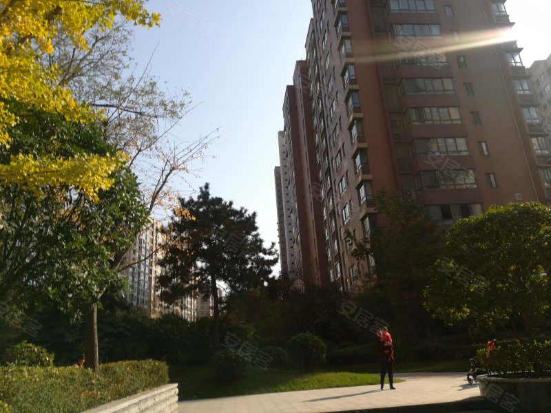 天地源枫林意树