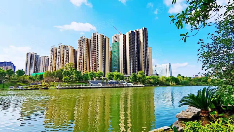 彰泰金桥水岸,人民路,近万福路-桂林彰泰金桥水岸二手房,租房,房价