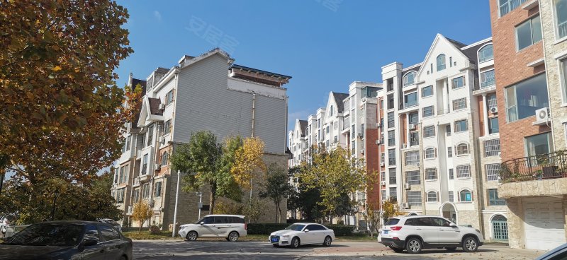 东辰鉴墅(公寓住宅)