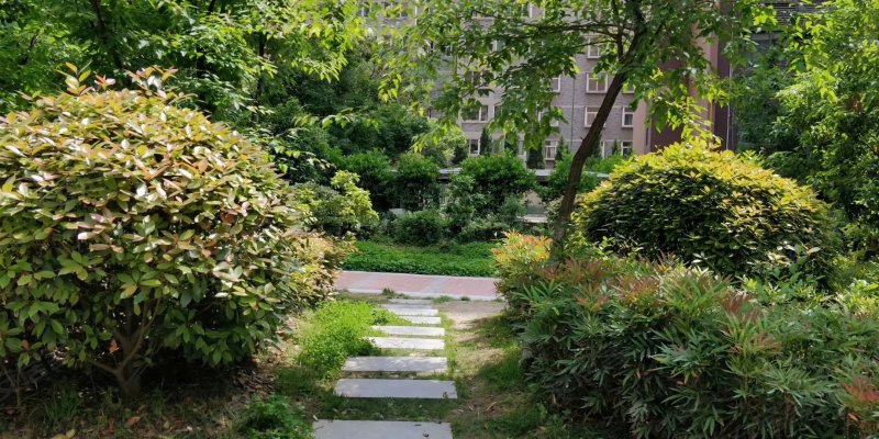 天地源枫林意树