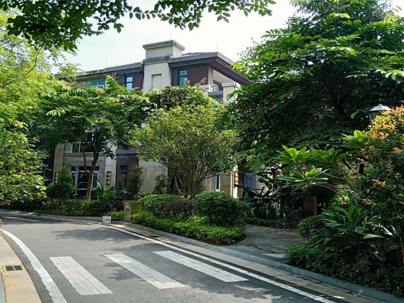 鼎峰国汇山(别墅)