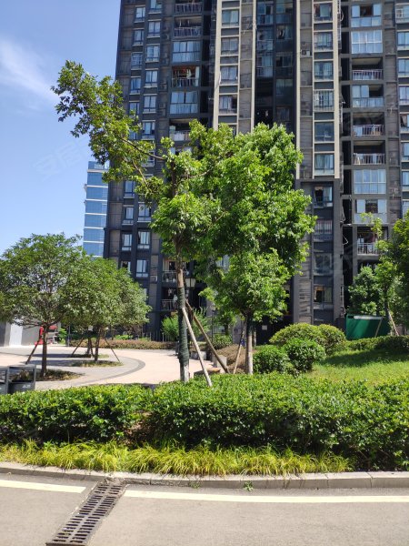 阳光丽苑,港安一路11号-重庆阳光丽苑二手房,租房,房价-重庆安居客