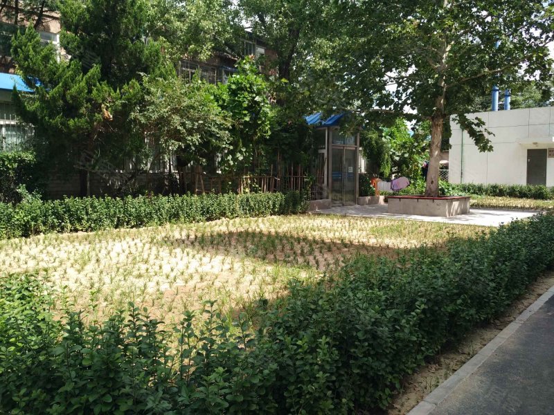 大慧寺8号院,大慧寺路8号-北京大慧寺8号院二手房,租房,房价-北京安居