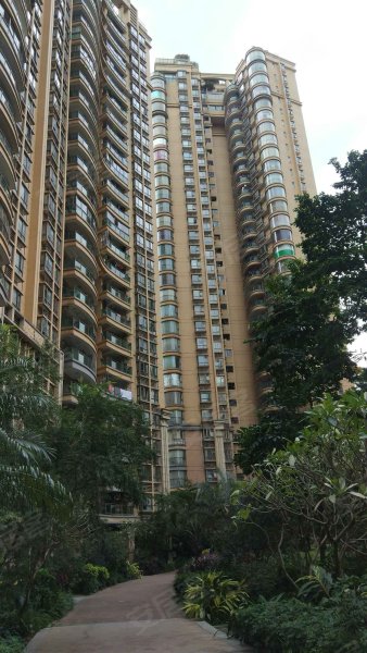 丽日玫瑰名城三区