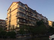 普东街小区图片