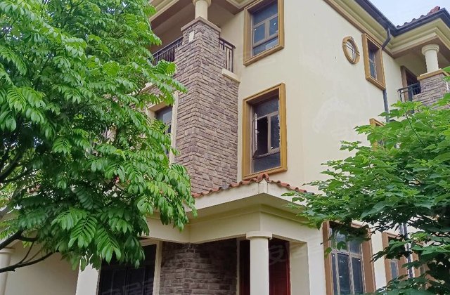 佳兆业东江新城别墅