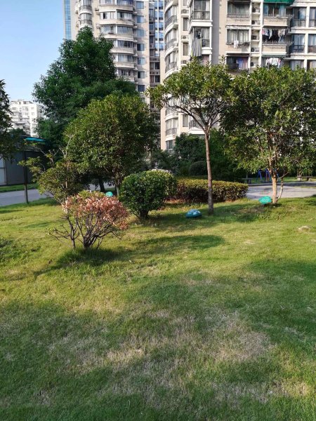 馨湖茗苑,莫高路6号-宁波馨湖茗苑二手房,租房,房价-宁波安居客