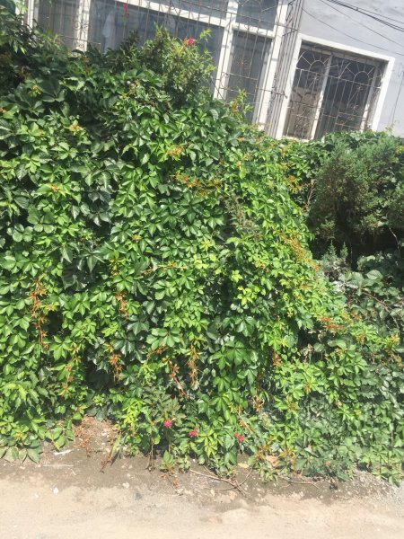 元和小区,晓东街16号-沈阳元和小区二手房,租房,房价-沈阳安居客