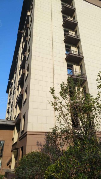 建业春天里(项城),建设路-项城建业春天里(项城)二手房,租房,房价