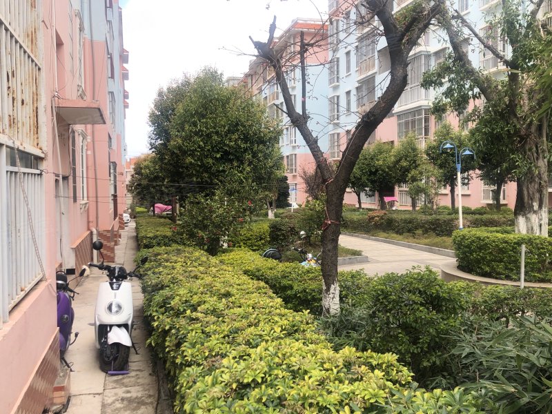 秀苑花园,秀苑巷2号-阳泉秀苑花园二手房,租房,房价-阳泉安居客