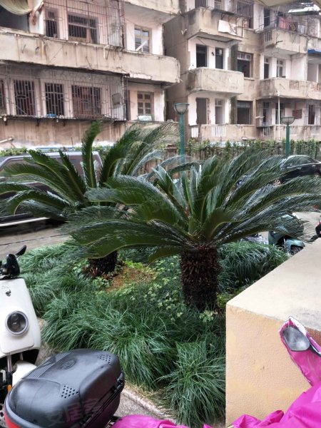 银铸大厦,吴桥路75号-温州银铸大厦二手房,租房,房价-温州安居客