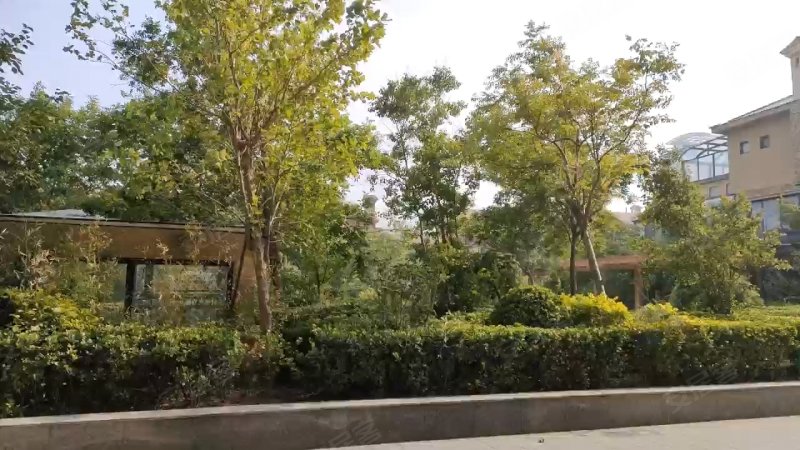 御景苑(别墅),黄河八路-滨州御景苑(别墅)二手房,租房,房价-滨州安居