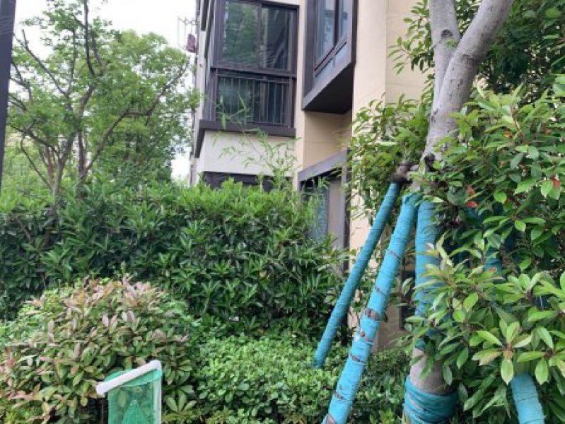 安亭新镇波恩风情 