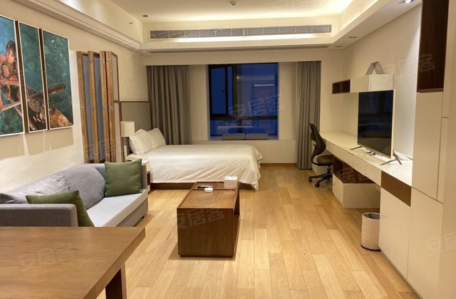 不限购 精装修公寓 三轨交汇火车站旁 通燃气 带车位,嘉里不夜城二手