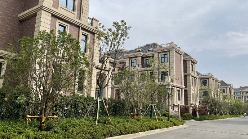 云龙湖悦府(别墅)