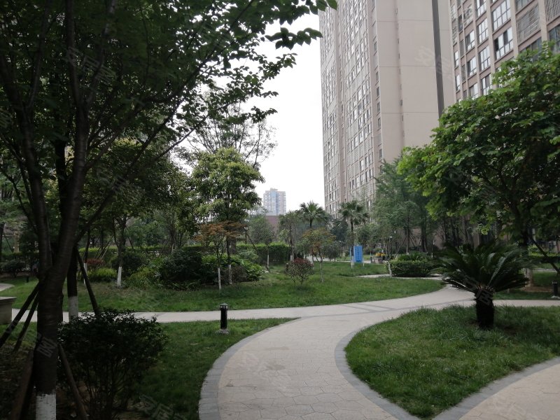 正黄金域香江