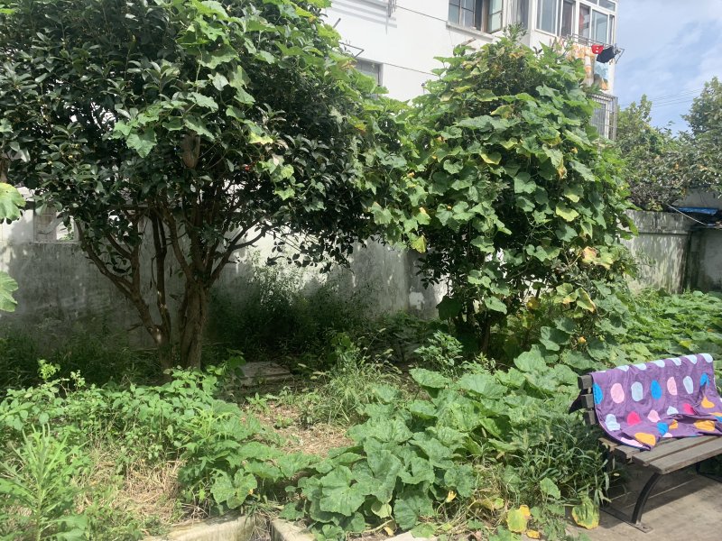 创新路21弄小区 