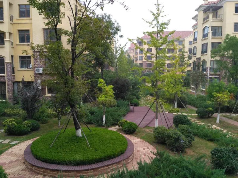 鲁能优山美地琴海园