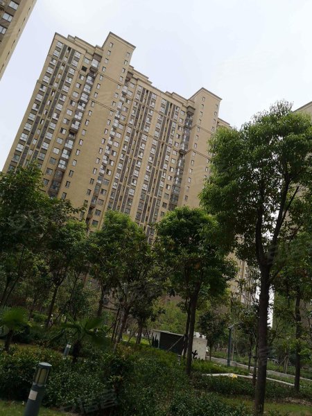 东来尚城,五一路-周口东来尚城二手房,租房,房价-周口安居客