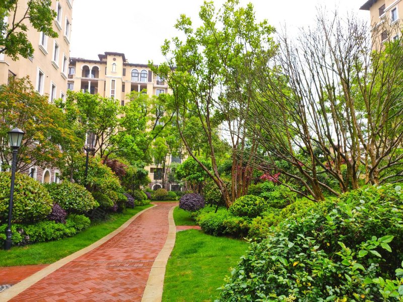 龙湖滟澜海岸(南区别墅)