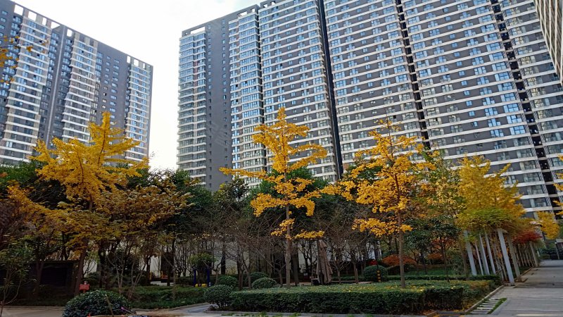 望庭国际(商住楼)