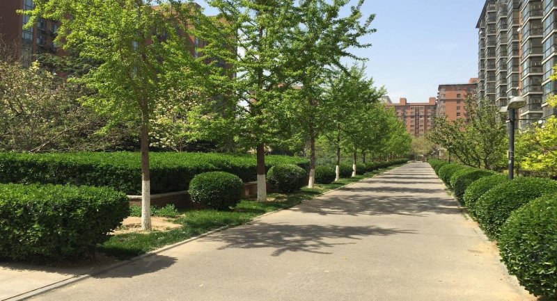 紫金长安,西翠路17号-北京紫金长安二手房,租房,房价-北京安居客