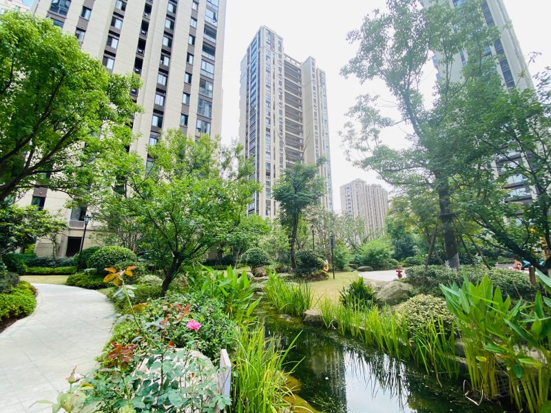 上实海上海(二期),白洋路-杭州上实海上海(二期)二手房,租房,房价